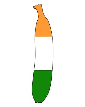 Indian Banana
