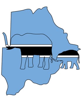 Botswana Elephants