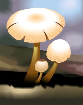 Mushroom in the moon light