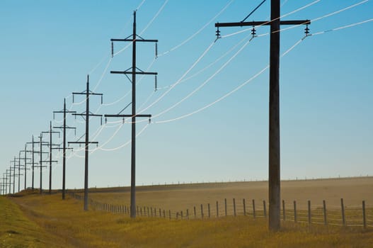 Electricity Pylons