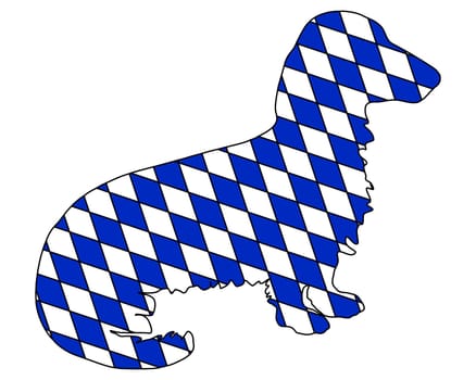 Bavarian Longhair Dachshund