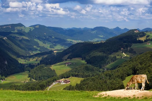 View from the Scheltenpass