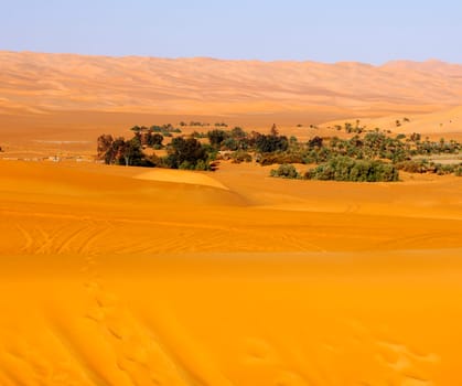 Mandara Oasis in the Ubari Sand Sea,Sahara Desert,Libya