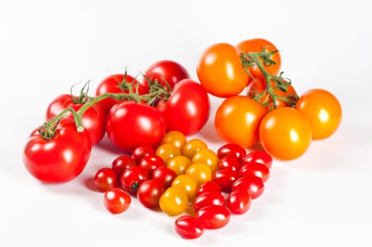Tomatoes on white background
