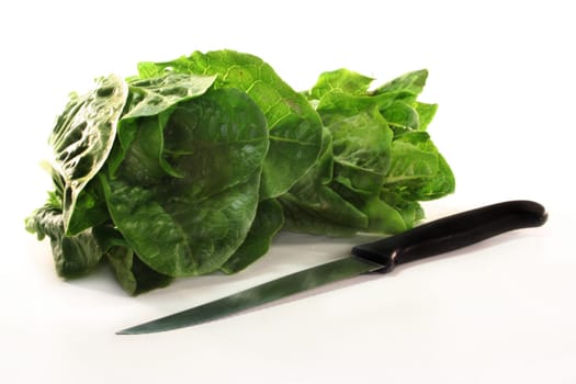 Romaine lettuce