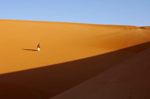 Desert Wanderer