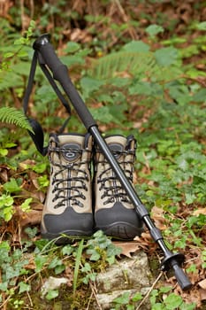 Hiking boots