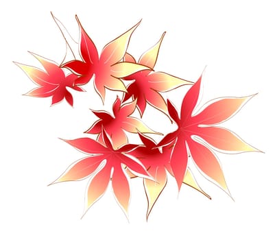 maple leaves
