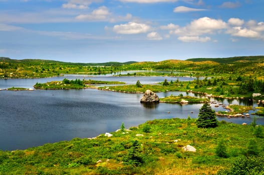Beautiful lake shore in Newfoundland