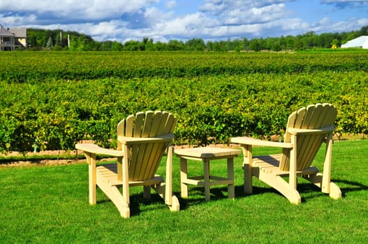 Chairs overlooking vineyard