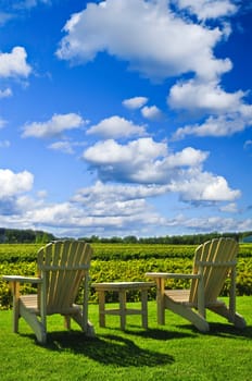 Chairs overlooking vineyard