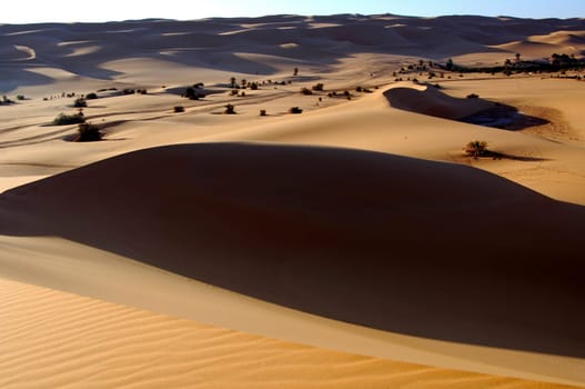Sand dune in the Sahara desert,Libya