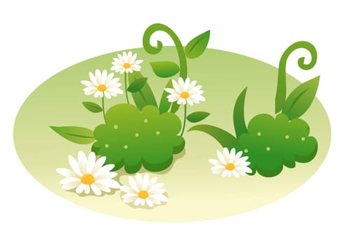 white daisy flower and leaf