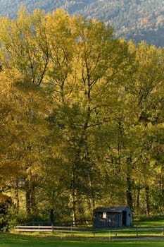 Autumn Landscape