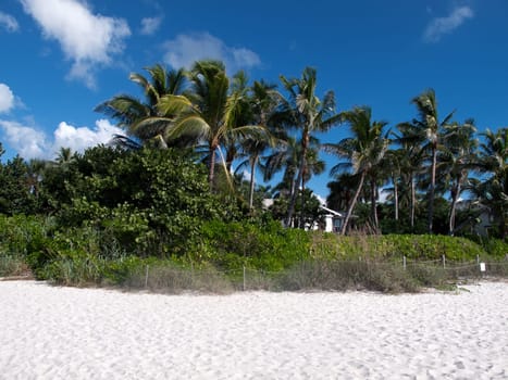 Florida Beach
