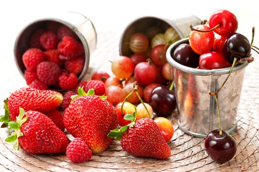 Fruits and berries