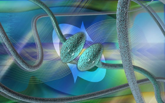 Synapse