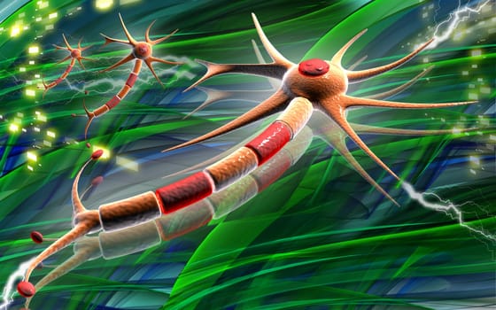 Neuron