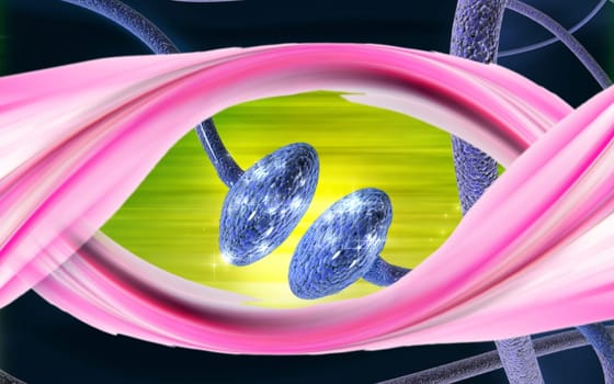 Synapse