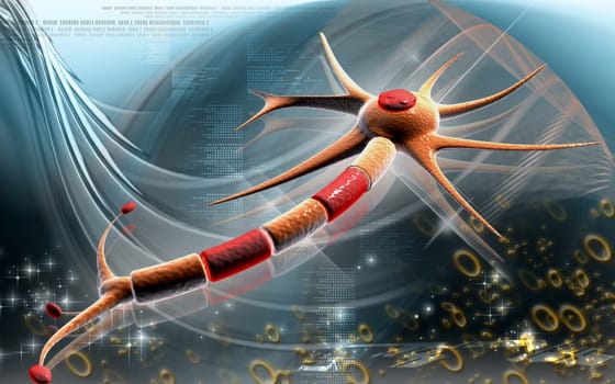 Neuron