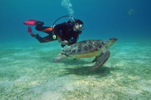 photographed in Palawan / Philippines