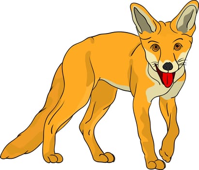 fox