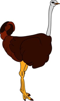ostrich