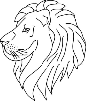 lion contour