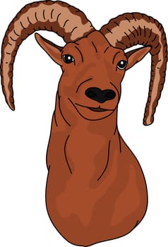mouflon