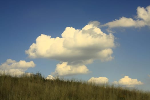 Slightly cloudy sky over meadow