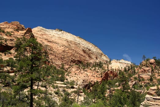 Zion,National Park