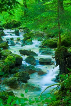 Stream