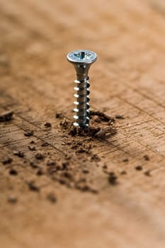 Screw and wood