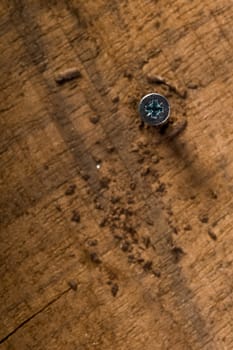 Screw and wood