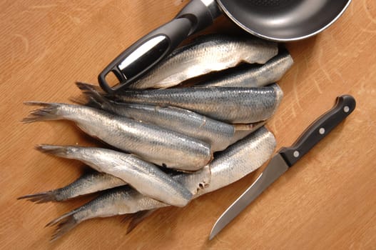 herring