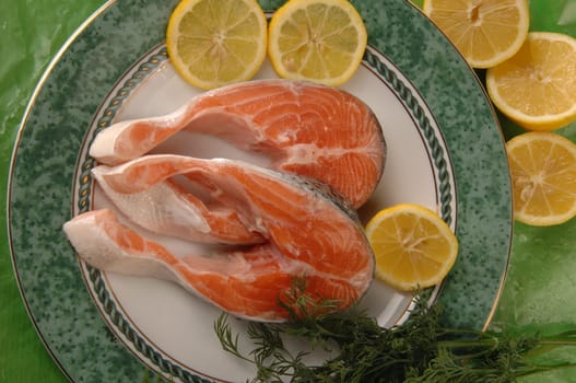 salmon