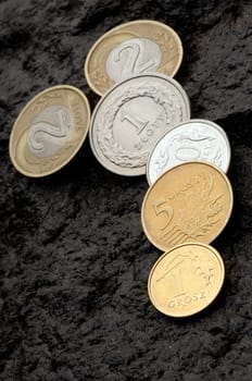polish money