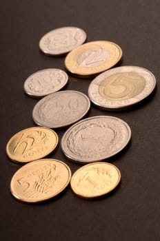 polish money