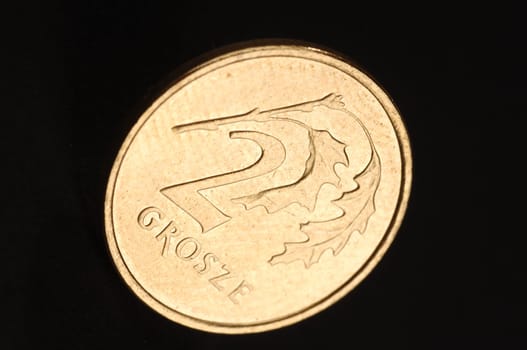 polish money