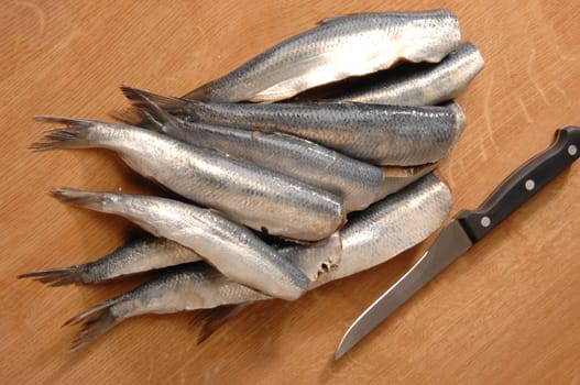 herring