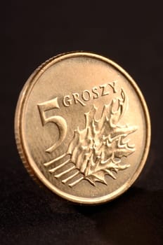 polish money