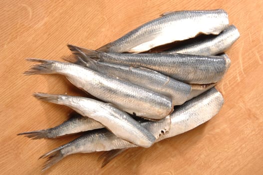 herring