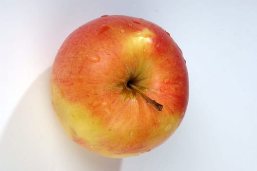 apple