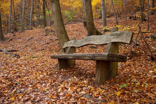Park bench in autumnal forest