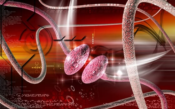 Synapse
