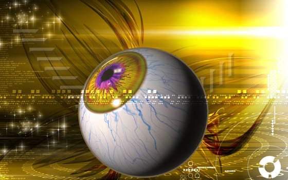 Eye
