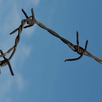 Barbed wire