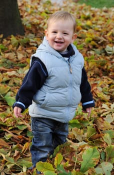 Toddler in autumn leaves