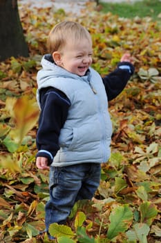 Toddler in autumn leaves