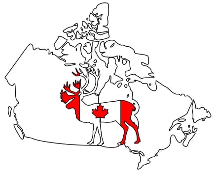 Canadian Caribou